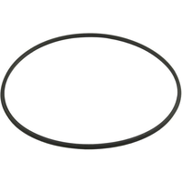 Hayward Metal Reinforced Filter Seal Replacement