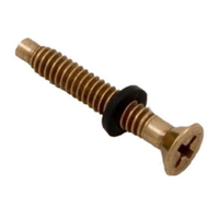 PENTAIR - 79104800Z - Scr Pilot W/Gum Washer