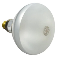 Pentair 79107600Z - Kit 300W 120V Bulb Sunglwii