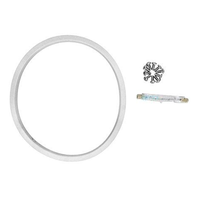 Pentair 600053 - Kit Bulb 120V 250W Aqlmn