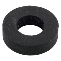 Pentair Rubber Washer