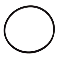 Carvin Diffuser O-Ring