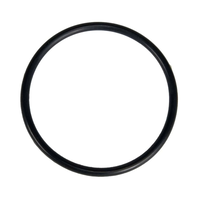 Zodiac R0622000 - Diffuser O-Ring, Replacement Kit