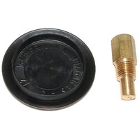Raypak Drain Plug Return Header Kit