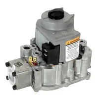 Raypak Gas Valve Pro