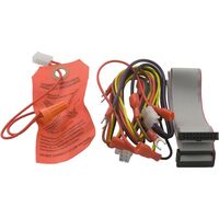 Zodiac R0325900 - Wire Harness Set Complete, Laars Lite (Lld), Replacement Kit
