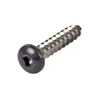 Pentair Stainless Steel Screw 10X1 Inch