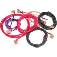 Raypak Wire/Harness Kit