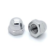 Pentair Stainless Steel Acorn Nut 1/4-20