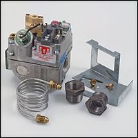 Raypak Gas Valve