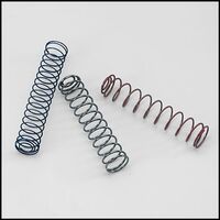 Raypak Bypass Spring Kit