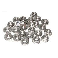 Raypak Flange Nut Kit