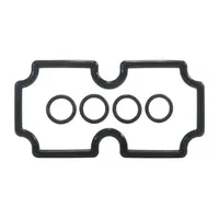 Pentair 474973 - O-Ring Kit Mt125