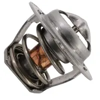 Pentair 474989 - Reg Therm Mt125 Replacement