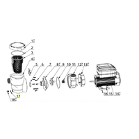 NorthFlo O-Ring for Above Ground Pool Pump