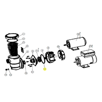 NorthFlo O-Ring for Above Ground Pool Pump