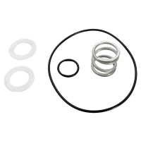 Pentair 149620035 - Spring and O-Ring Kit