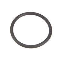 Anneau du Tube Vertical - Pentair/Sta-Rite 3550511424