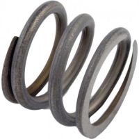 Pentair 149650006 - Spring