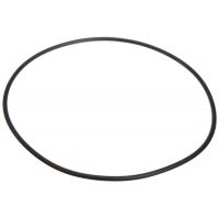 Pentair 355051275 - O-Ring