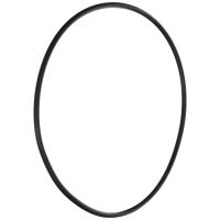 Pentair O-Ring