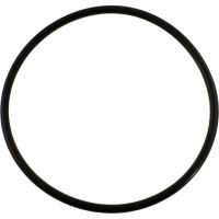 Pentair 355227 - O-Ring