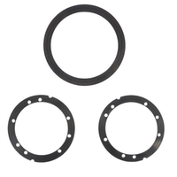 HAYWARD - 005252007200 - Paramount Gasket-Med