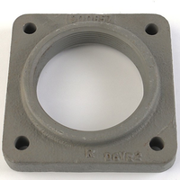 Pentair 10417400 - Flange 4