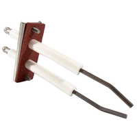 476081Z - Electrodes Replc Spark Na/Lp