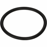 Pentair 154492 / 154492Z - O-Ring 3/16