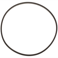 Pentair 17140-0026 - Gasket Tetraseal #258