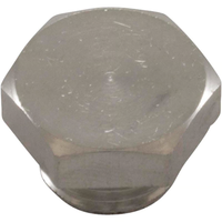 Pentair 171P1180 - Plug Suction Body Sshm-2