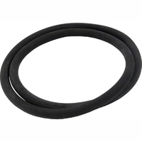 Pentair 174704 - O-Ring 12