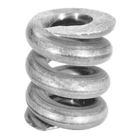Pentair 194988Z - Kit Spring Ns Replacement