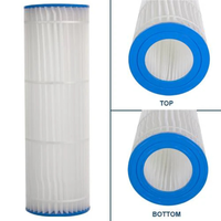 Pentair 196040 - Cartridge Easyclean D.E. 90