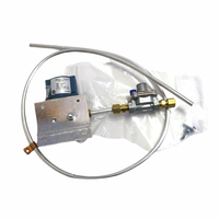 Pentair 20301101 - Pilot Gas Assembly