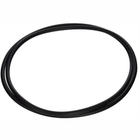 Pentair 24750-0005 - O-Ring 20