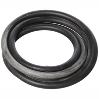 Pentair 24750-0006 - Crd Ring Filter Tank