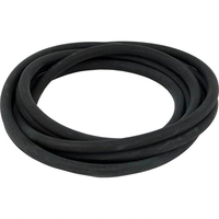 Pentair 24752-0005 - O-Ring