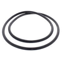Pentair 27001-0061S - O-Ring Service Kit