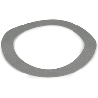 Pentair 33450-8041 - Gasket 6
