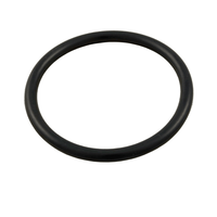 Pentair 35505-1244 - O-Ring #2-230-N674-70
