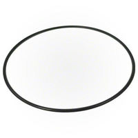 Pentair 356780Z - O-Ring 3/8