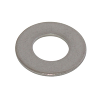 Pentair 356789 - Washer 5/8 ID Stainless Steel