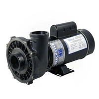 Waterway Executive 3 HP Pump
