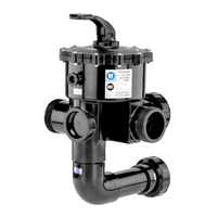 Hayward 6 Position Commercial Multiport Valve