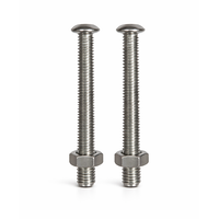 Vis et écrous de remplacement pour marches en plastique et acier inoxydable (lot de 2)