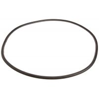 Pentair 248500008 - 21 Inch Cord O-Ring for Tank Replacement 