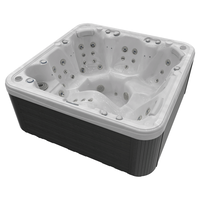Wellis Hercules 6 Person Hydrotherapy Hot Tub (Silver / Grey)