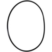 Pentair 154493 - O-Ring Closure Replacement 